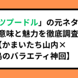 「スーツプードル」の元ネタは何？意味と魅力を徹底調査【かまいたち山内×千鳥のバラエティ神回】