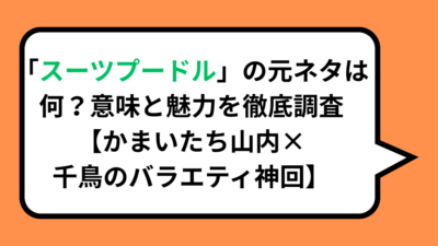 「スーツプードル」の元ネタは何？意味と魅力を徹底調査【かまいたち山内×千鳥のバラエティ神回】