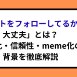 「カイトをフォローしてるから大丈夫」とは？ネタ化・信頼性・meme化の背景を徹底解説