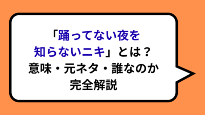 「踊ってない夜を知らないニキ」とは？意味・元ネタ・誰なのか完全解説